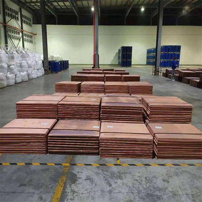 Brillante 99,99 purezza lamiera di rame C11000 C17200 C12200 C17500 C10200